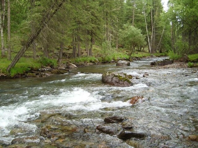 Bild: pixabay.com